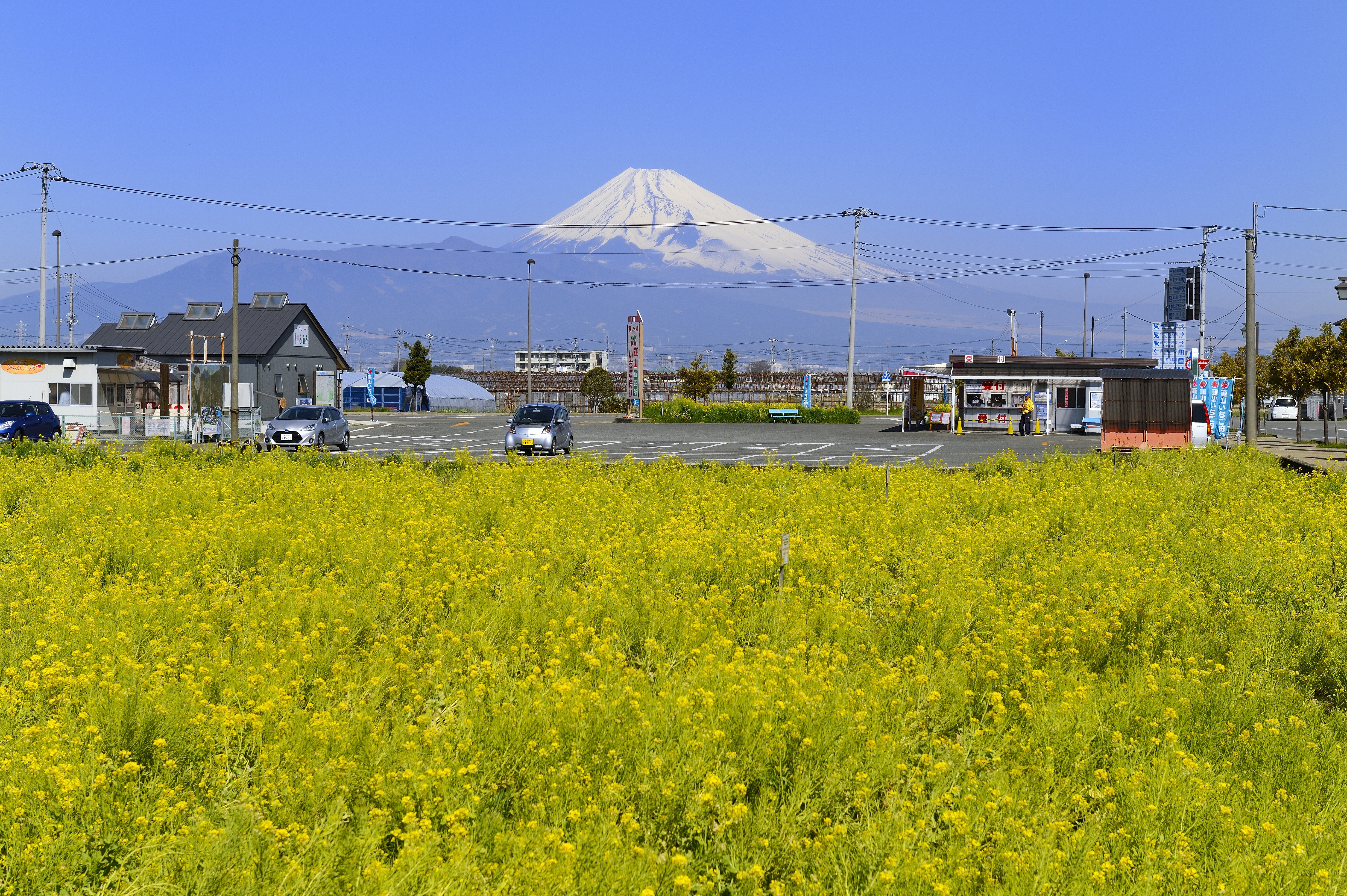 冬のイメージ