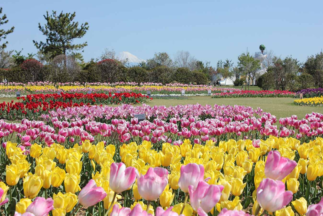 静岡県営吉田公園